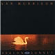 Van Morrison - Avalon Sunset